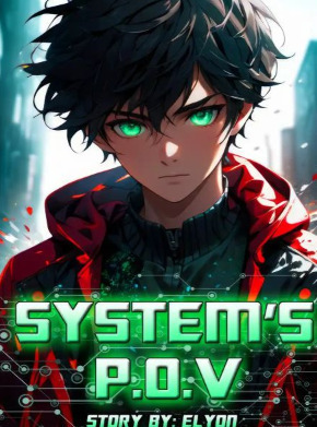 System's POV
